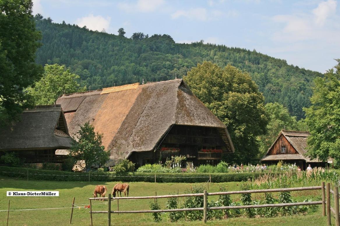 Haus Am Waldrand Villa Triberg im Schwarzwald Eksteriør bilde