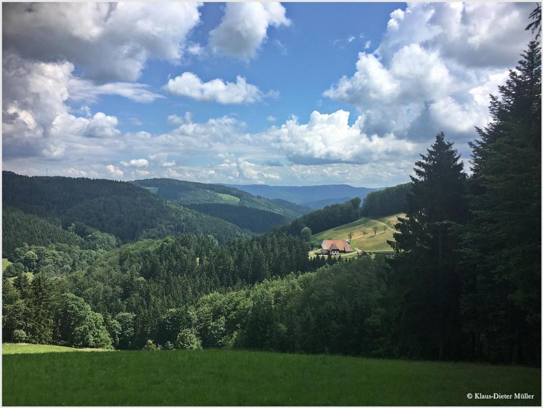Haus Am Waldrand Villa Triberg im Schwarzwald Eksteriør bilde