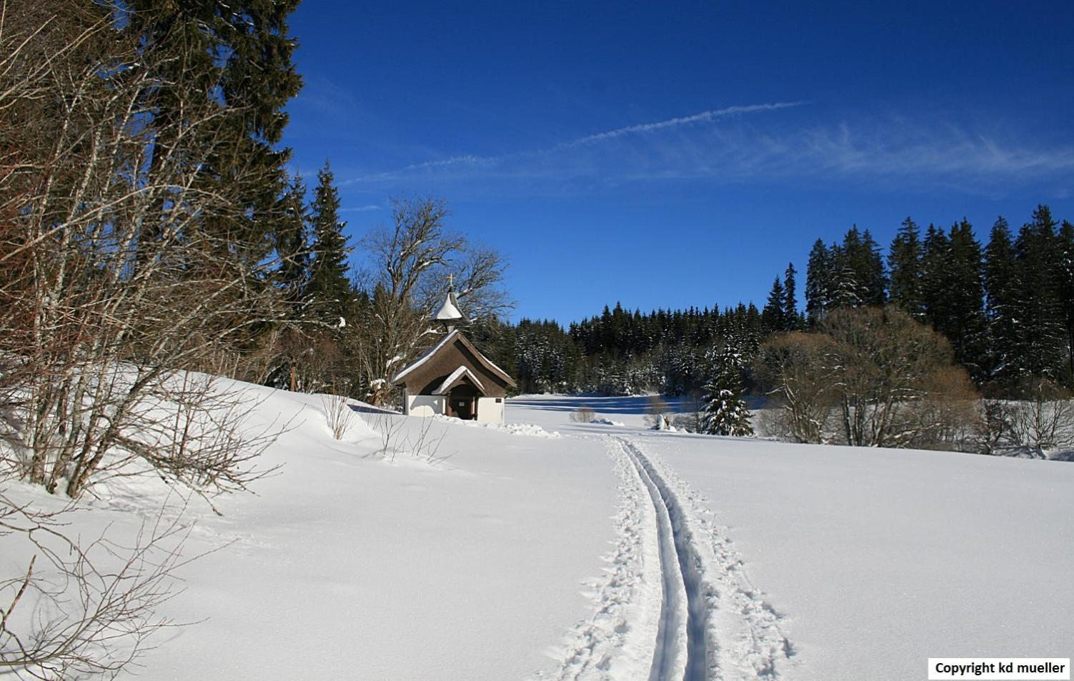 Haus Am Waldrand Villa Triberg im Schwarzwald Eksteriør bilde