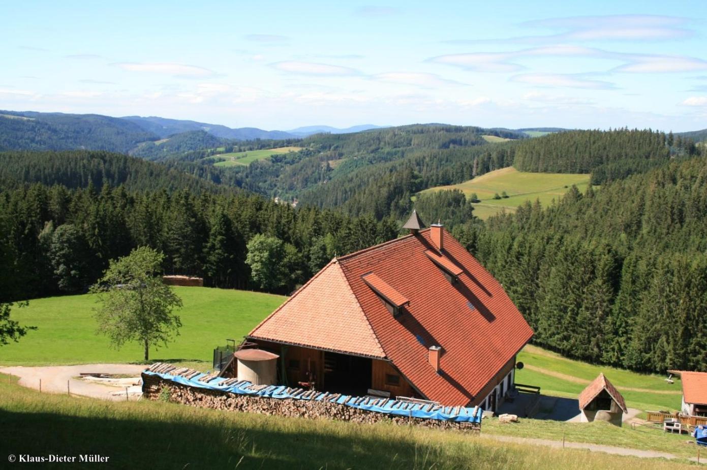 Haus Am Waldrand Villa Triberg im Schwarzwald Eksteriør bilde