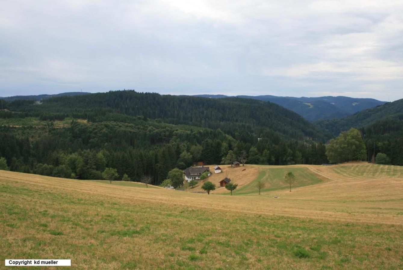 Haus Am Waldrand Villa Triberg im Schwarzwald Eksteriør bilde