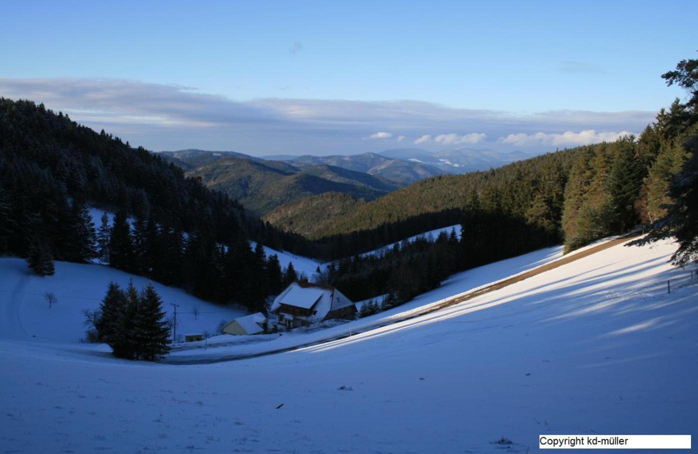 Haus Am Waldrand Villa Triberg im Schwarzwald Eksteriør bilde