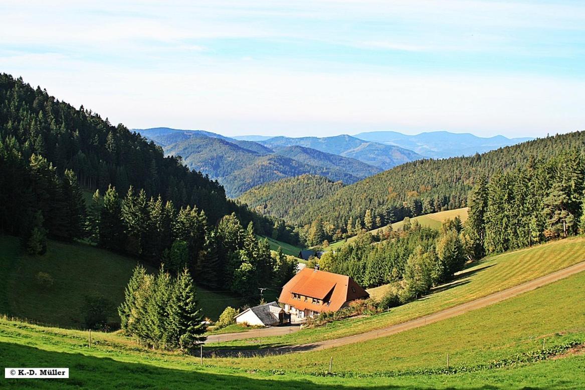 Haus Am Waldrand Villa Triberg im Schwarzwald Eksteriør bilde