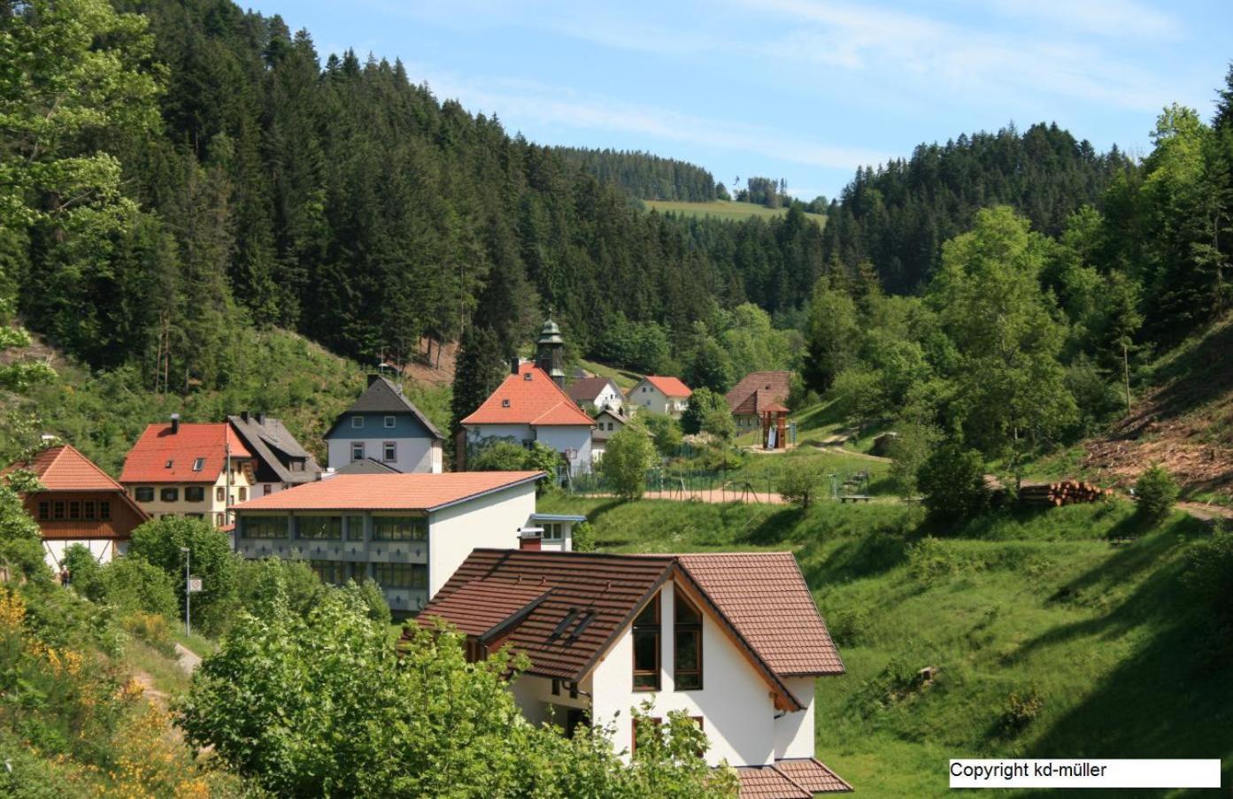 Haus Am Waldrand Villa Triberg im Schwarzwald Eksteriør bilde