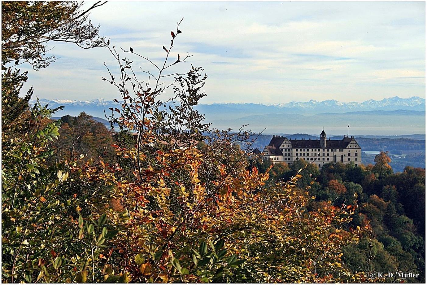 Haus Am Waldrand Villa Triberg im Schwarzwald Eksteriør bilde