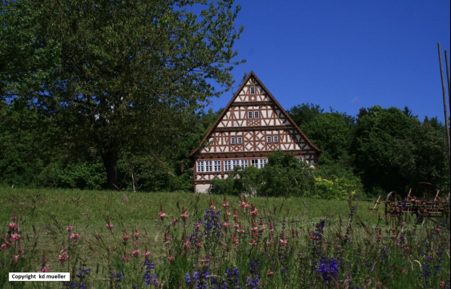 Haus Am Waldrand Villa Triberg im Schwarzwald Eksteriør bilde
