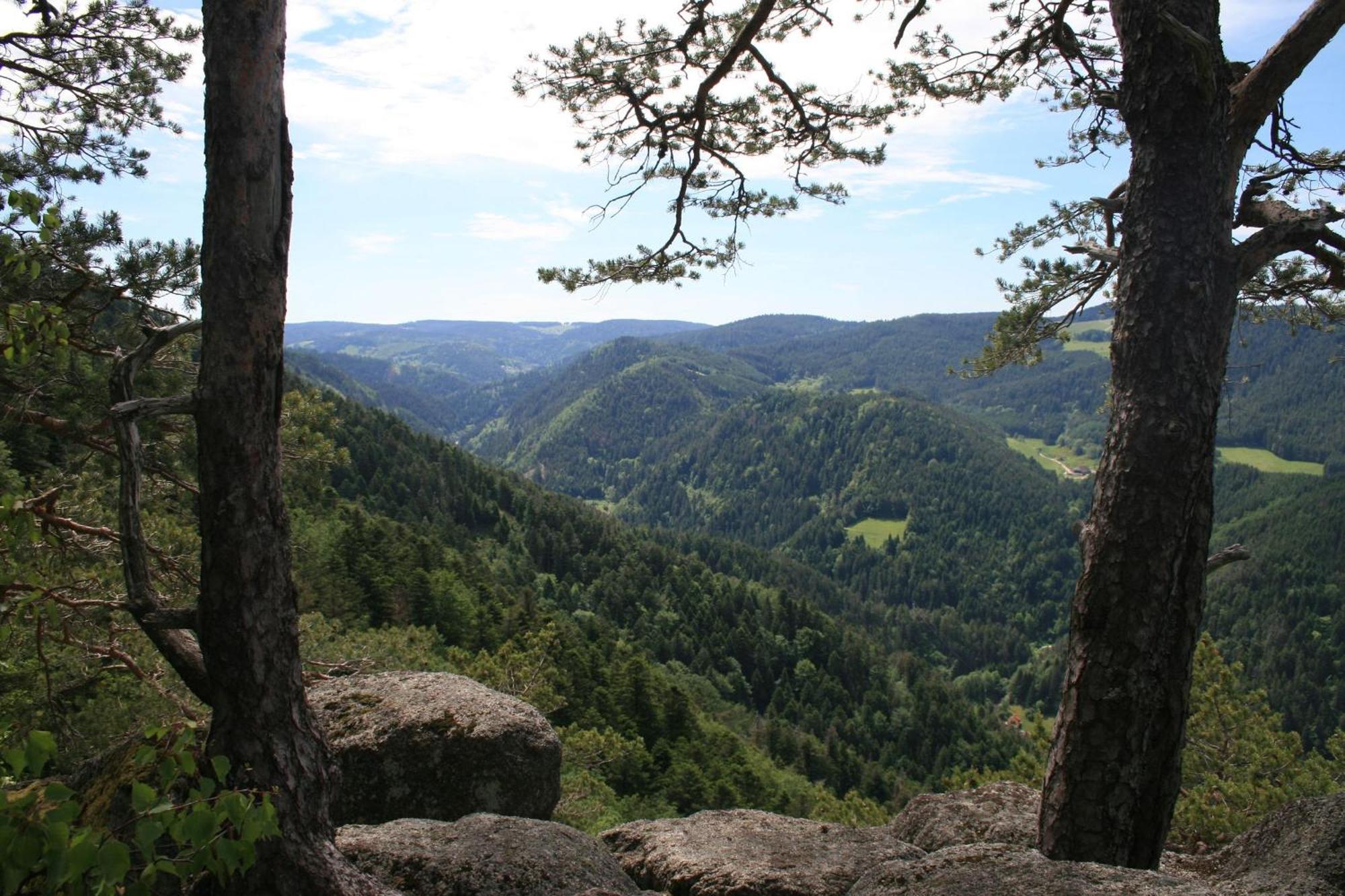 Haus Am Waldrand Villa Triberg im Schwarzwald Eksteriør bilde