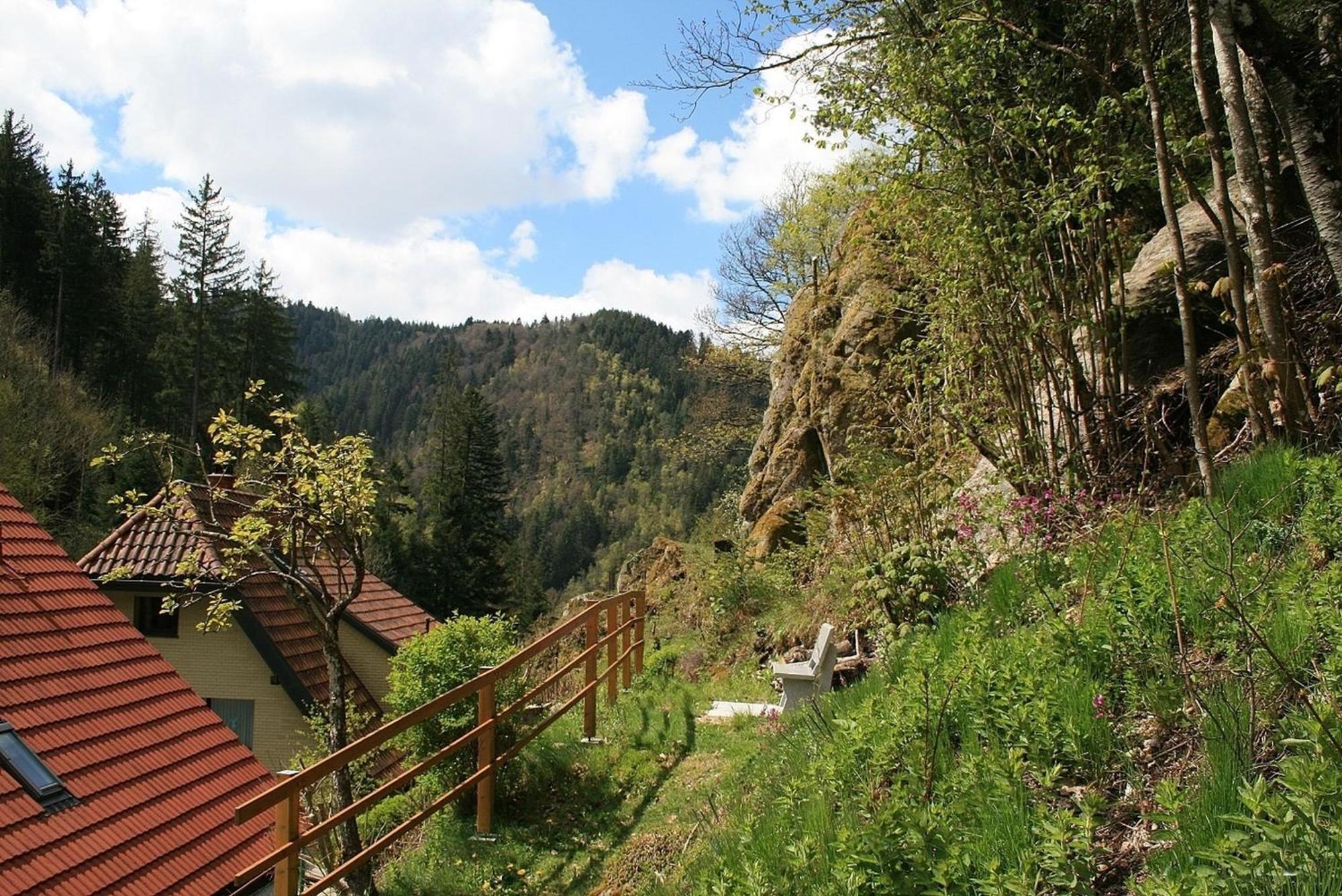 Haus Am Waldrand Villa Triberg im Schwarzwald Eksteriør bilde